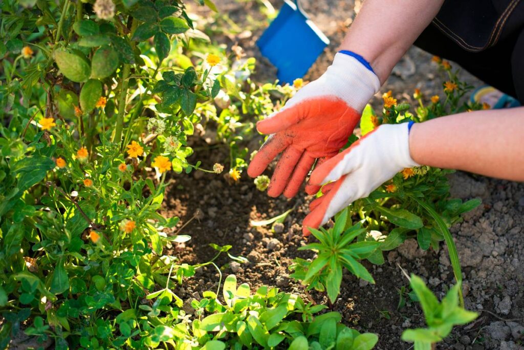 Long Protective Gardening Gloves: 7 Proven Tips to Avoid Painful Mistakes