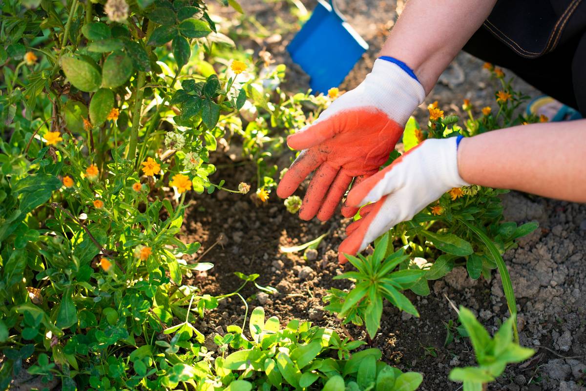 Long Protective Gardening Gloves: 7 Proven Tips to Avoid Painful Mistakes
